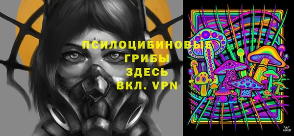 ГАЛЛЮЦИНОГЕННЫЕ ГРИБЫ Лиски