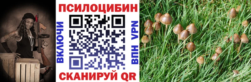 Галлюциногенные грибы Magic Shrooms  Невинномысск 