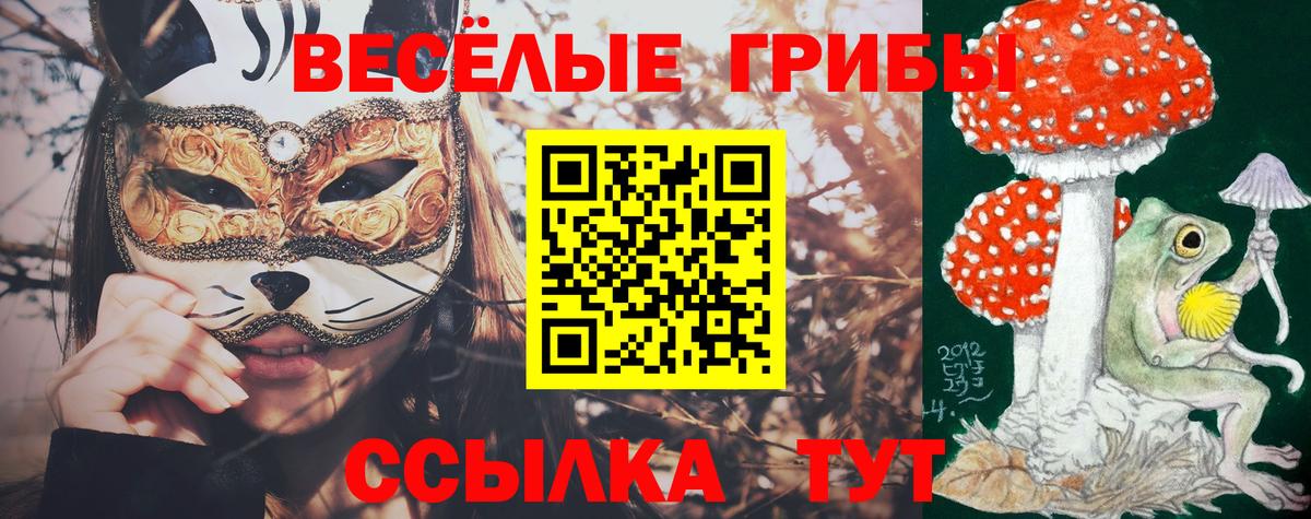 Псилоцибиновые грибы Psilocybe Невинномысск
