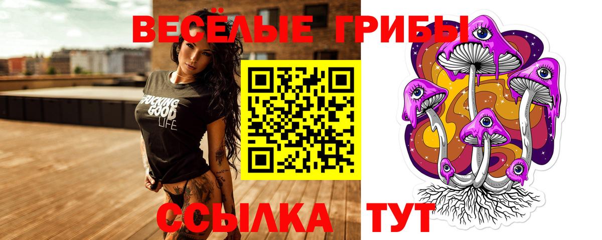 Галлюциногенные грибы мухоморы  Вход с VPN  цена   Невинномысск 